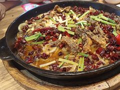 -老板恋上鱼(恒隆广场店)