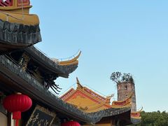 -江心屿景区