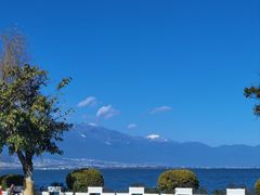 -野菌皇海景野生菌火锅(滨海大道店)