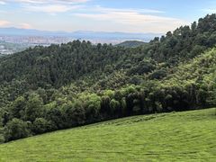 -敬亭山风景名胜区