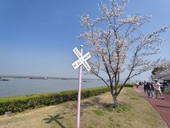 -幕燕滨江·长江观音景区