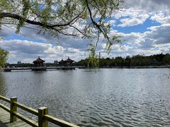 -长春市南湖公园