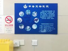 -申普宠物医院·眼科·心内科·影像科(普陀分院)