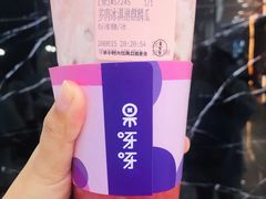 多肉冰淇淋麒麟瓜-果呀呀(凯德广场店)