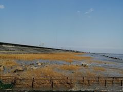 -南汇新城海滩