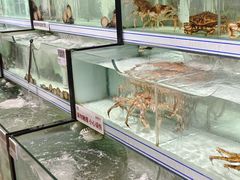 -胖东来生活广场(健康路店)