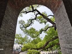 -江心屿景区