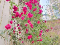 -禾记花园涮肉餐厅