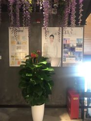 点击看大图 -Cocodemer 产后恢复中心(多伦路店)