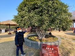 -武汉紫薇都市田园