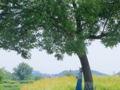 -良渚古城遗址公园