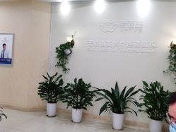-碧莲盛·不剃发植发