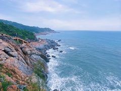 -广东惠东海龟国家级自然保护区