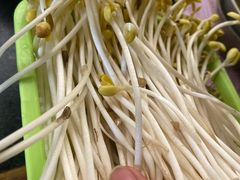 豆芽-星鸿社重庆老火锅