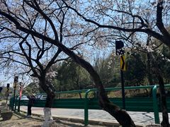 -南北湖风景区