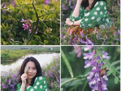 -盘龙城国家考古遗址公园