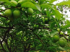 -桤木河湿地公园