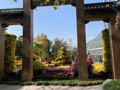 -南山植物园