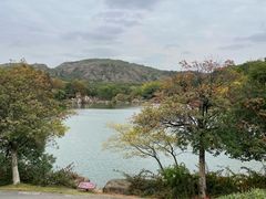 -白马涧龙池景区