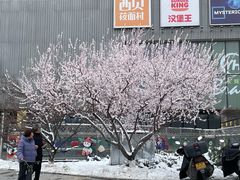 -卢米埃影城(住总万科杜比全景声激光店)