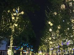 -合景·悠方(成都店)