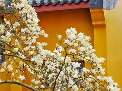 -杭州上天竺法喜讲寺