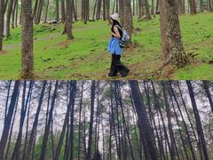 -硗碛藏寨·神木垒景区