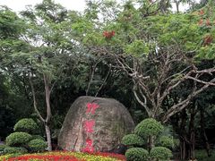 -野狸岛