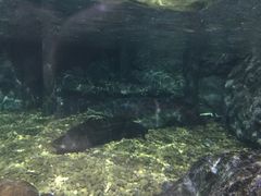 -暹罗海洋世界