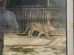 -深圳野生动物园