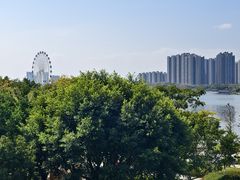 -飞来湖湿地公园