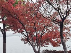 -石湖景区