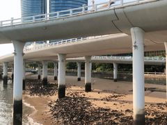 -演武大桥观景平台