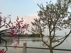-无锡蠡湖国家湿地公园-蠡园