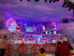 -帝企鹅自助餐厅•儿童岛•真企鹅(长隆企鹅酒店)