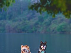 -南京市无想山景区