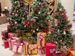 -宁波华侨温德姆至尊豪廷大酒店·豪廷轩中餐厅