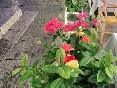 -大师傅金奖啤酒鱼(西街口总店)