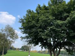 -重庆中央公园(渝北区)