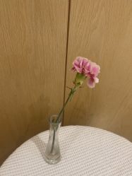 -广东韩妃整形外科医院
