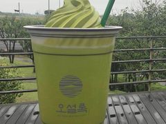 -雪绿茶博物馆