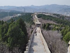 -原山国家森林公园