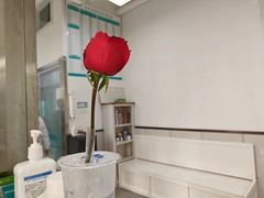 -心仪动物医院·牙专科·肿瘤·心脏科(西客站院)