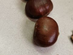 -小叶佳栗子(昌平店)