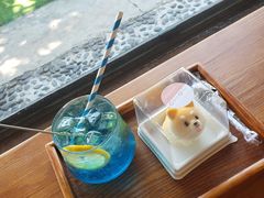 -柴犬高等学院·狗咖·柴犬售卖·宠物训练