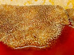 -岗上渣渣老火锅(两路口店)