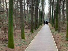 -同里国家湿地公园