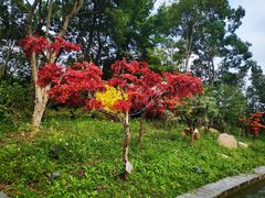-太阳岛度假酒店