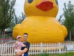 -天津东丽湖风景区