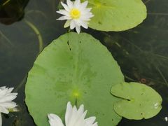 -华南国家植物园-售票处